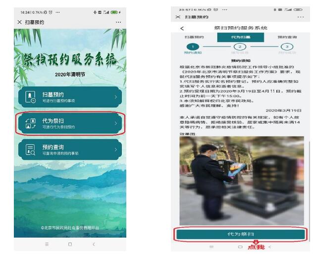 代为祭扫